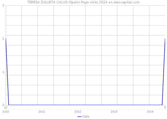 TERESA ZULUETA CALVO (Spain) Page visits 2024 