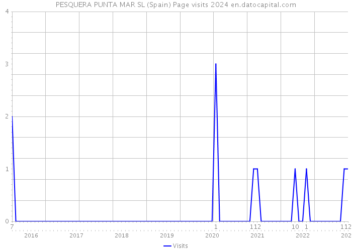 PESQUERA PUNTA MAR SL (Spain) Page visits 2024 