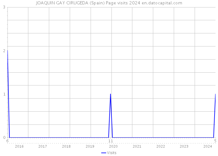 JOAQUIN GAY CIRUGEDA (Spain) Page visits 2024 
