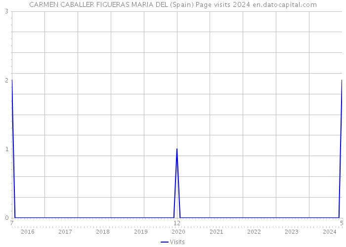 CARMEN CABALLER FIGUERAS MARIA DEL (Spain) Page visits 2024 