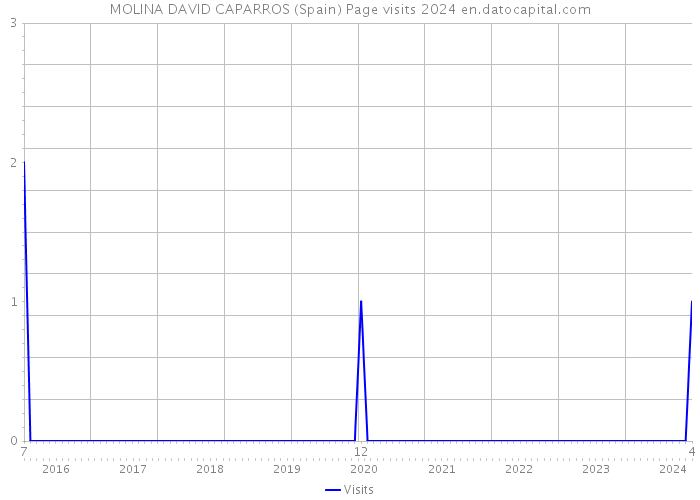 MOLINA DAVID CAPARROS (Spain) Page visits 2024 