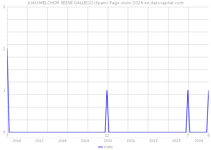 JUAN MELCHOR SESSE GALLEGO (Spain) Page visits 2024 