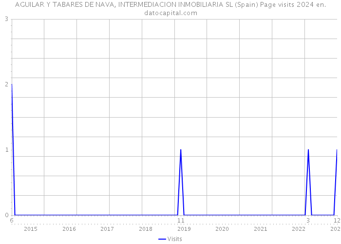 AGUILAR Y TABARES DE NAVA, INTERMEDIACION INMOBILIARIA SL (Spain) Page visits 2024 