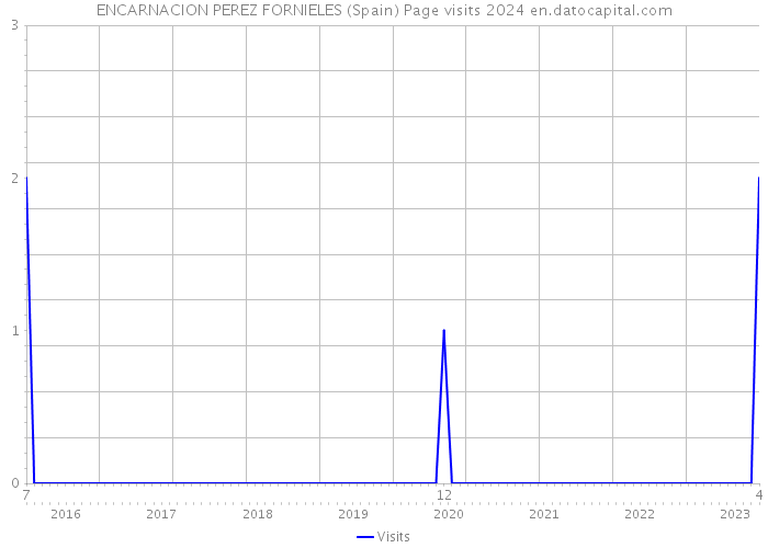 ENCARNACION PEREZ FORNIELES (Spain) Page visits 2024 
