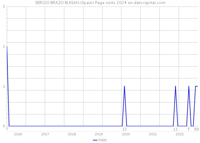 SERGIO BRAZO BUISAN (Spain) Page visits 2024 