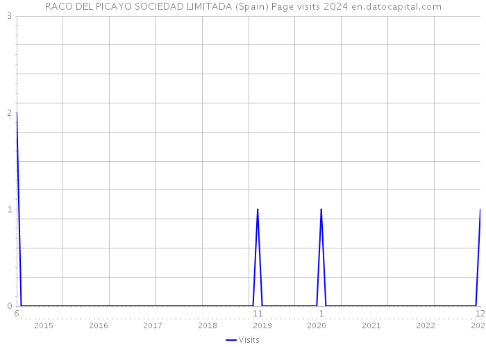 RACO DEL PICAYO SOCIEDAD LIMITADA (Spain) Page visits 2024 