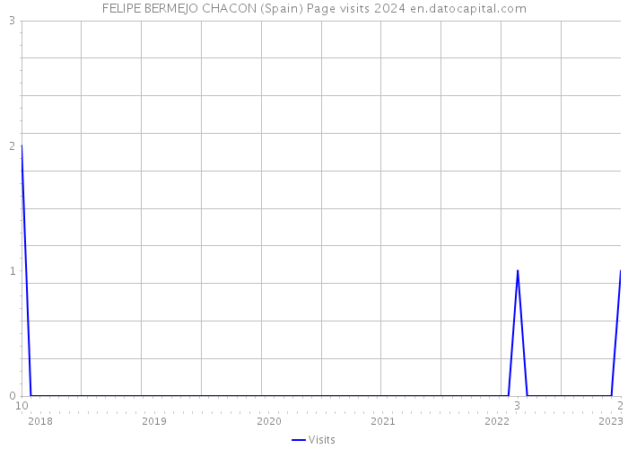 FELIPE BERMEJO CHACON (Spain) Page visits 2024 