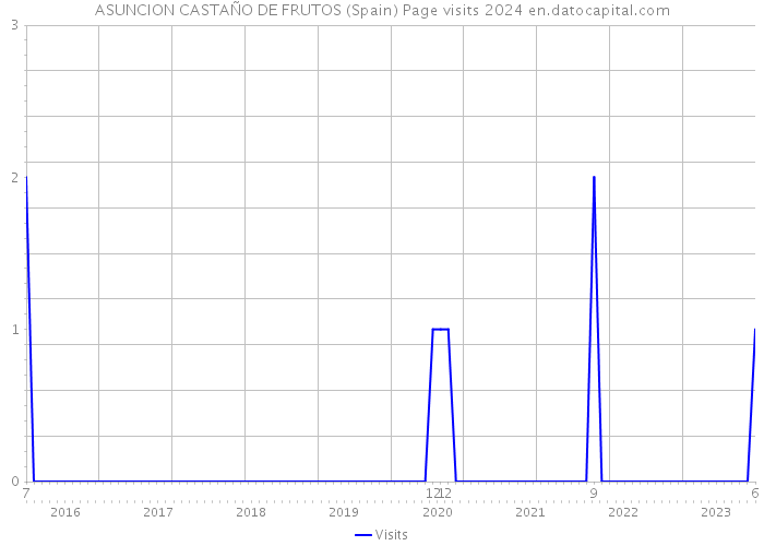 ASUNCION CASTAÑO DE FRUTOS (Spain) Page visits 2024 