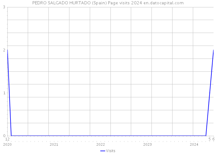 PEDRO SALGADO HURTADO (Spain) Page visits 2024 