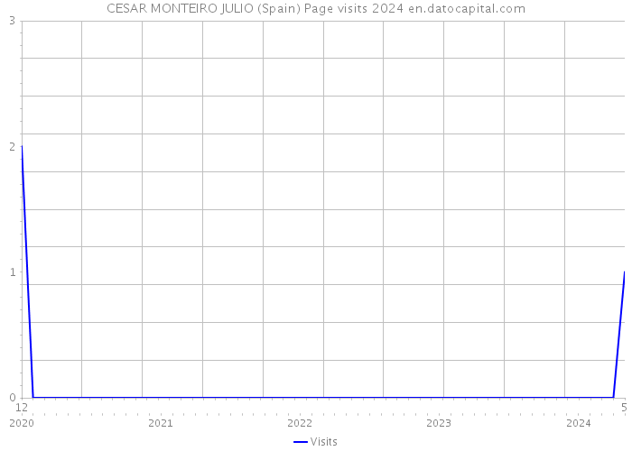 CESAR MONTEIRO JULIO (Spain) Page visits 2024 