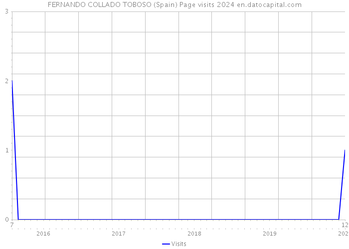 FERNANDO COLLADO TOBOSO (Spain) Page visits 2024 