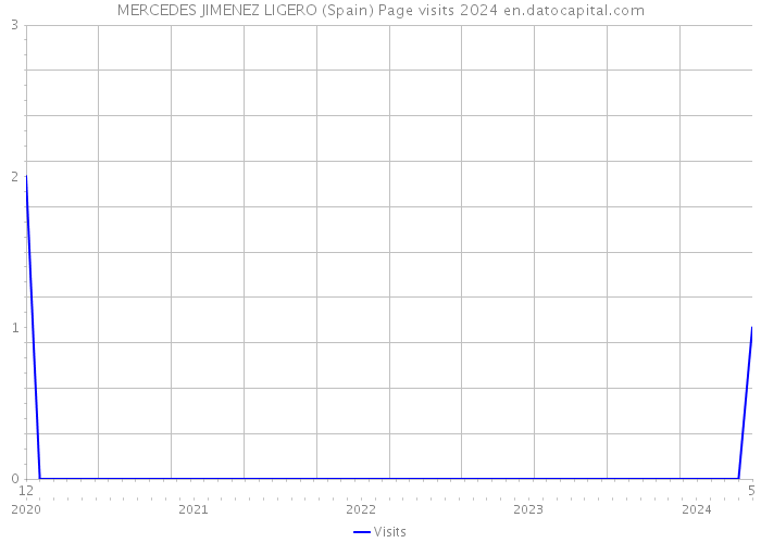 MERCEDES JIMENEZ LIGERO (Spain) Page visits 2024 