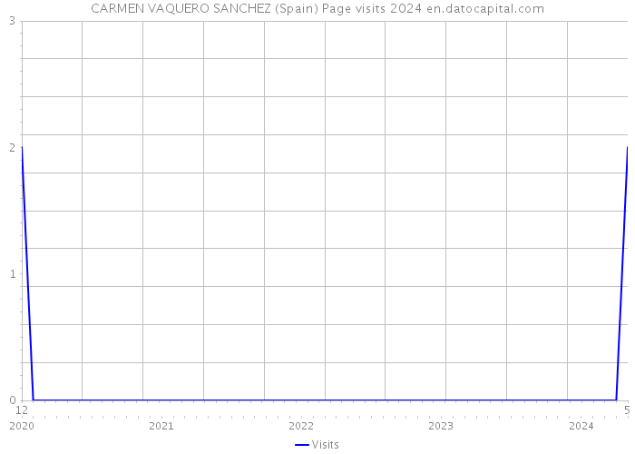 CARMEN VAQUERO SANCHEZ (Spain) Page visits 2024 