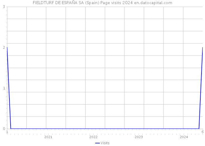 FIELDTURF DE ESPAÑA SA (Spain) Page visits 2024 