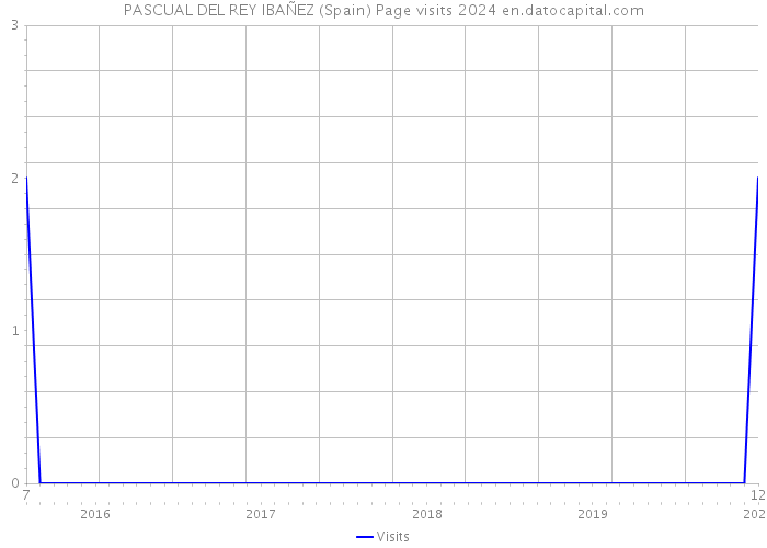 PASCUAL DEL REY IBAÑEZ (Spain) Page visits 2024 
