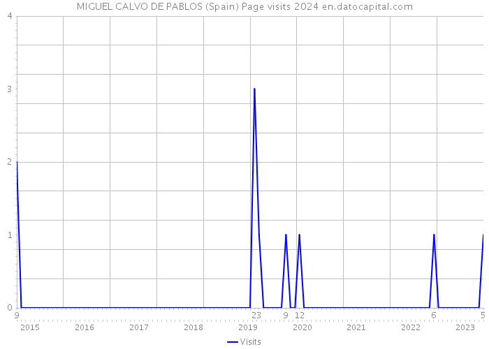MIGUEL CALVO DE PABLOS (Spain) Page visits 2024 