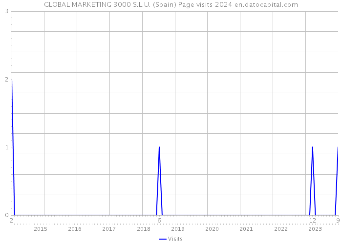 GLOBAL MARKETING 3000 S.L.U. (Spain) Page visits 2024 