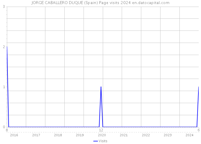 JORGE CABALLERO DUQUE (Spain) Page visits 2024 