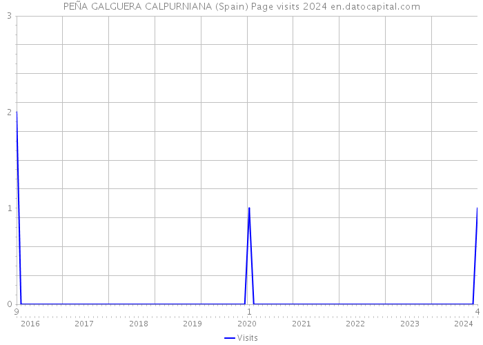 PEÑA GALGUERA CALPURNIANA (Spain) Page visits 2024 