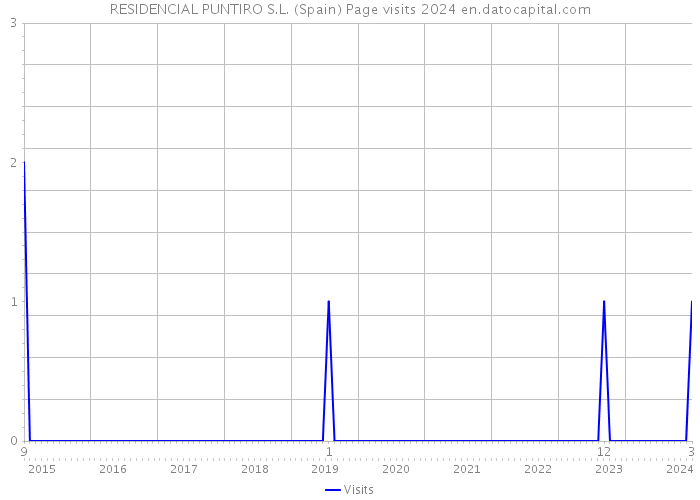 RESIDENCIAL PUNTIRO S.L. (Spain) Page visits 2024 