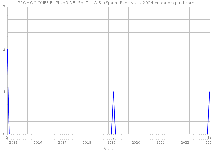 PROMOCIONES EL PINAR DEL SALTILLO SL (Spain) Page visits 2024 