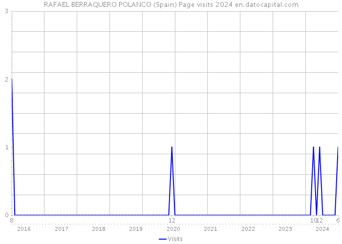 RAFAEL BERRAQUERO POLANCO (Spain) Page visits 2024 