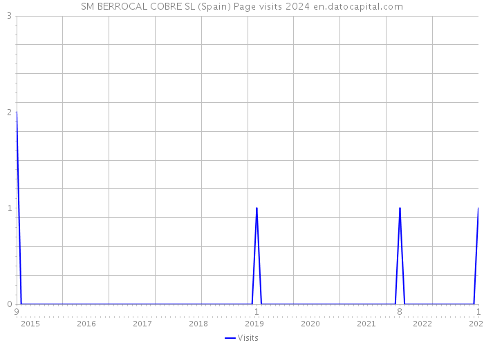SM BERROCAL COBRE SL (Spain) Page visits 2024 