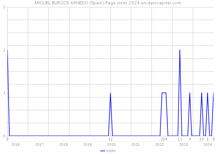 MIGUEL BURGOS ARNEDO (Spain) Page visits 2024 