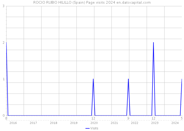 ROCIO RUBIO HILILLO (Spain) Page visits 2024 