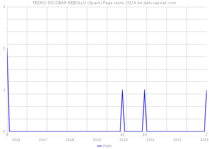 PEDRO ESCOBAR REBOLLO (Spain) Page visits 2024 