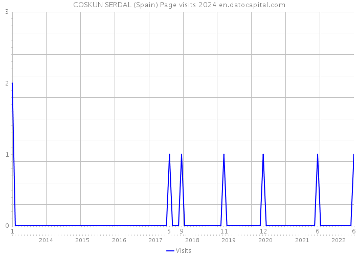COSKUN SERDAL (Spain) Page visits 2024 
