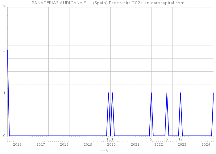 PANADERIAS AUDICANA SLU (Spain) Page visits 2024 
