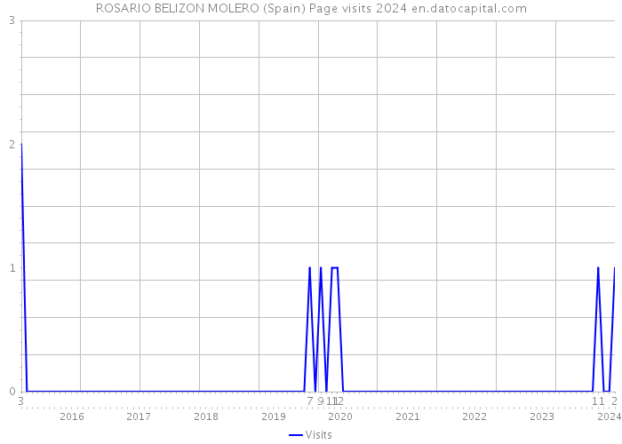 ROSARIO BELIZON MOLERO (Spain) Page visits 2024 