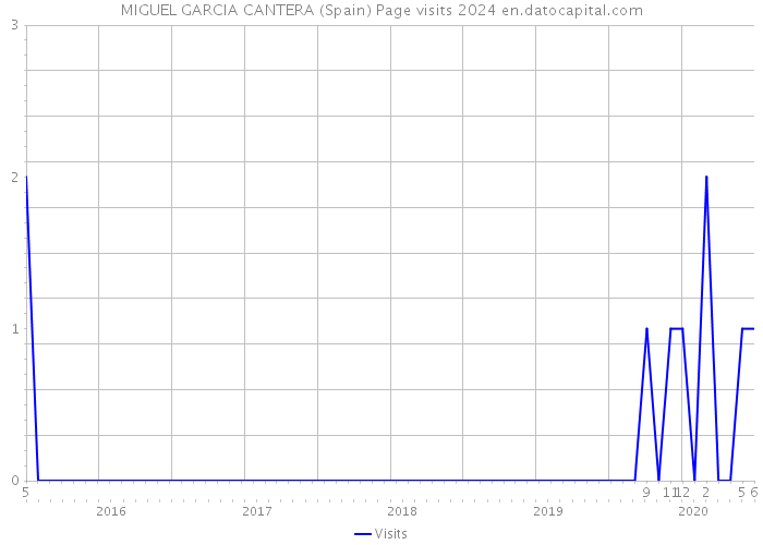 MIGUEL GARCIA CANTERA (Spain) Page visits 2024 