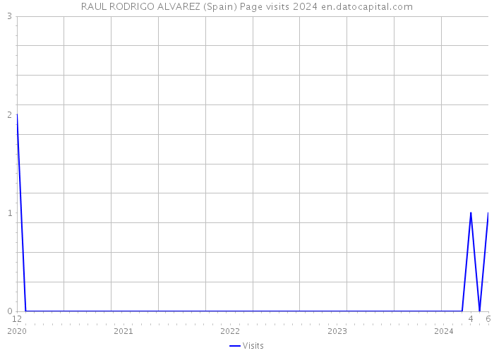 RAUL RODRIGO ALVAREZ (Spain) Page visits 2024 