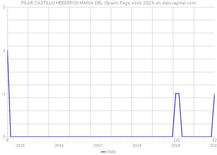 PILAR CASTILLO HERREROS MARIA DEL (Spain) Page visits 2024 