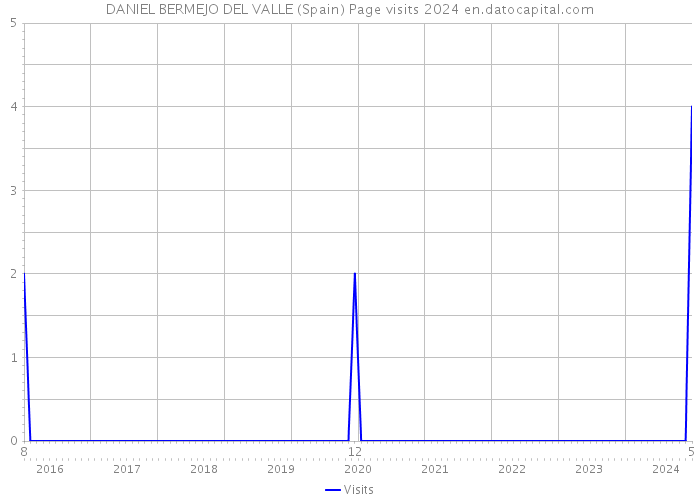 DANIEL BERMEJO DEL VALLE (Spain) Page visits 2024 