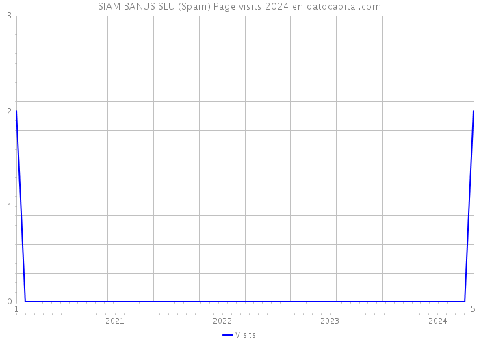 SIAM BANUS SLU (Spain) Page visits 2024 