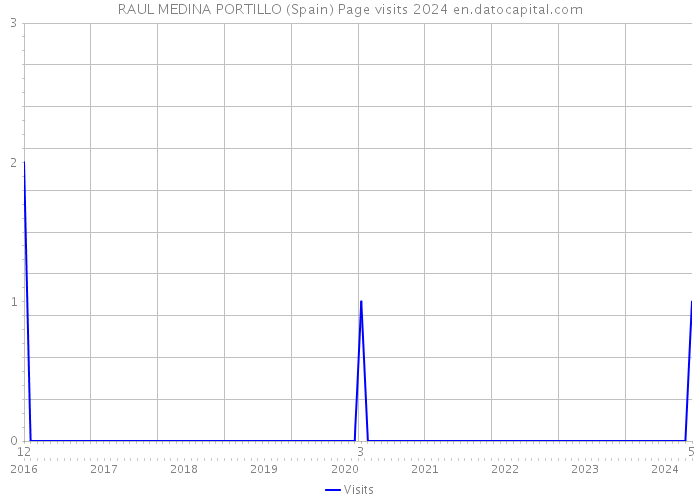 RAUL MEDINA PORTILLO (Spain) Page visits 2024 