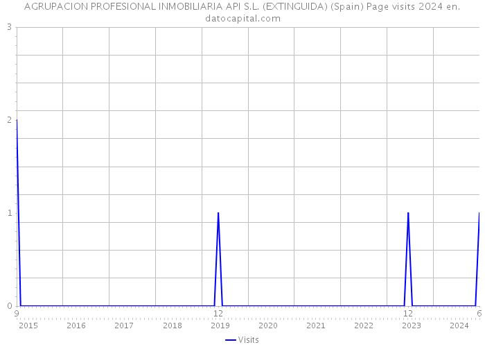 AGRUPACION PROFESIONAL INMOBILIARIA API S.L. (EXTINGUIDA) (Spain) Page visits 2024 