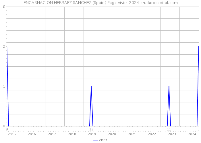 ENCARNACION HERRAEZ SANCHEZ (Spain) Page visits 2024 