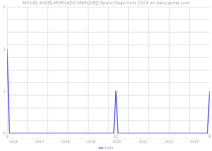 MIGUEL ANGEL MORGADO MARQUEZ (Spain) Page visits 2024 