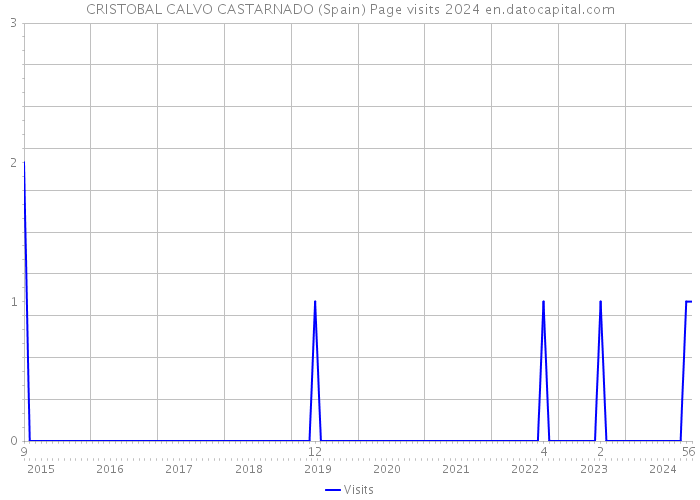 CRISTOBAL CALVO CASTARNADO (Spain) Page visits 2024 