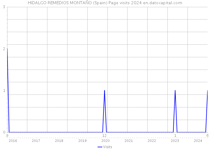 HIDALGO REMEDIOS MONTAÑO (Spain) Page visits 2024 