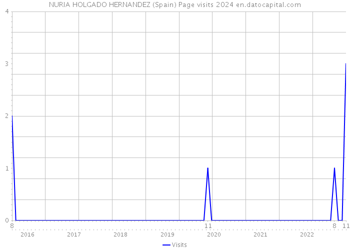 NURIA HOLGADO HERNANDEZ (Spain) Page visits 2024 