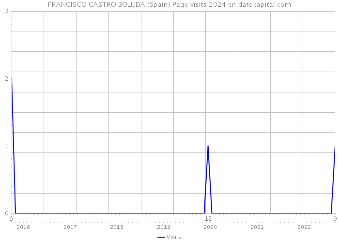 FRANCISCO CASTRO BOLUDA (Spain) Page visits 2024 