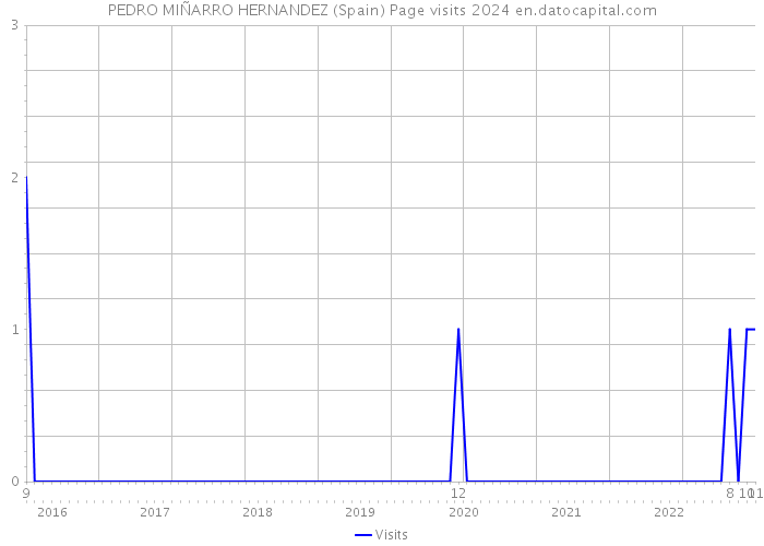 PEDRO MIÑARRO HERNANDEZ (Spain) Page visits 2024 