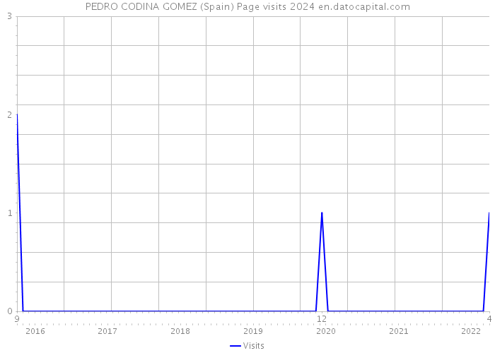 PEDRO CODINA GOMEZ (Spain) Page visits 2024 