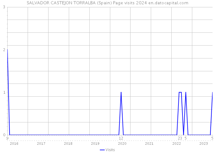 SALVADOR CASTEJON TORRALBA (Spain) Page visits 2024 