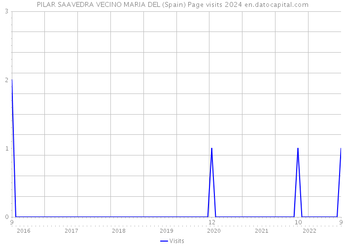 PILAR SAAVEDRA VECINO MARIA DEL (Spain) Page visits 2024 